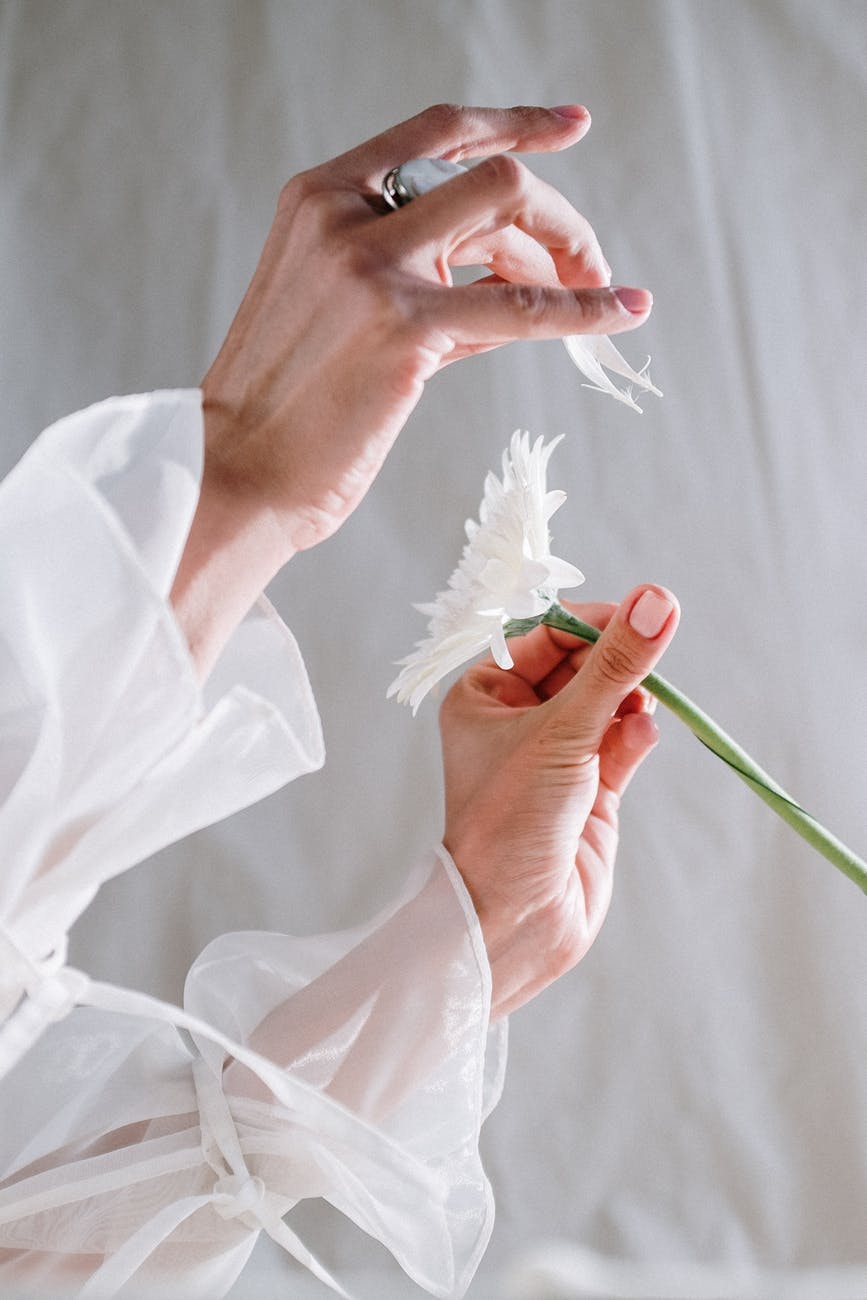 person holding white feather in front of white textile
